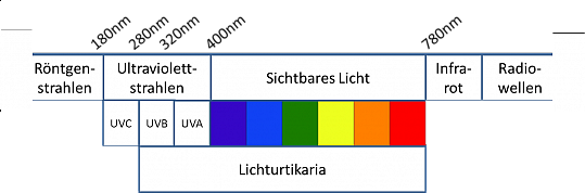 Abbildung 14a: Wellenlängen des Lichts. Die Beschwerden der Lichturtikaria können durch sichtbares Licht oder auch von UV-A oder UV-B-Strahlen ausgelöst werden. (Quelle: Allergie Centrum Charité)